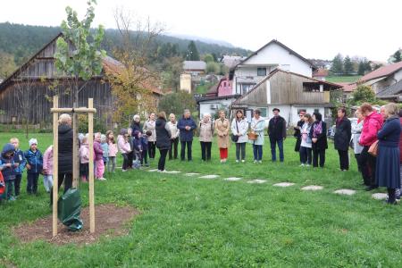 Posaditev  rožnatega drevesa v Pocinovem vrtu 08 Foto Ljubo Vukelič
